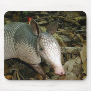 Alfombrilla De Ratón Armadillo del bebé