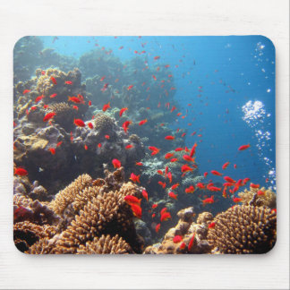 Alfombrilla De Ratón Arrecife de coral 01