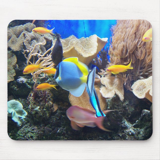 Alfombrilla De Ratón Arrecife de coral Mousepad (Frente)