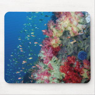 Alfombrilla De Ratón Arrecife de coral subacuático, Indonesia