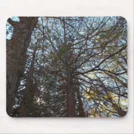 Alfombrilla De Ratón Arriba por las ramas