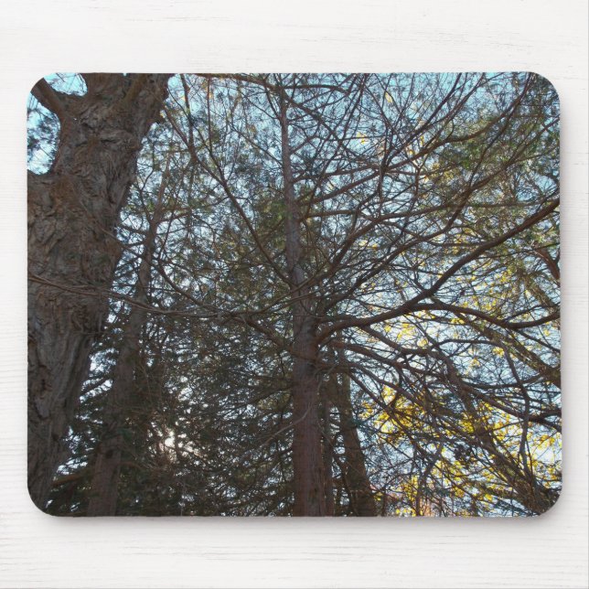 Alfombrilla De Ratón Arriba por las ramas (Frente)