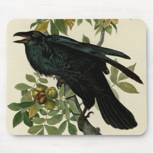 Alfombrilla De Ratón Arte clásico Audubon Raven