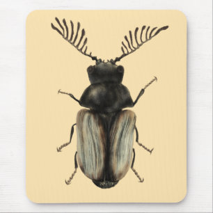 Alfombrilla De Ratón arte de entomología de los insectos de Guay