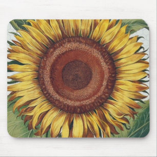 Alfombrilla De Ratón Arte de Flor de Damasco Vintage Girasol
