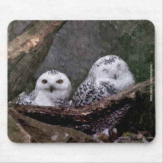 Alfombrilla De Ratón Arte de vida silvestre del bosque de pareja de búh