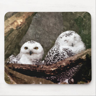 Alfombrilla De Ratón Arte de vida silvestre del bosque de pareja de búh