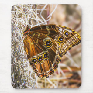 Alfombrilla De Ratón Arte fotográfico de fauna y flora de la impresiona
