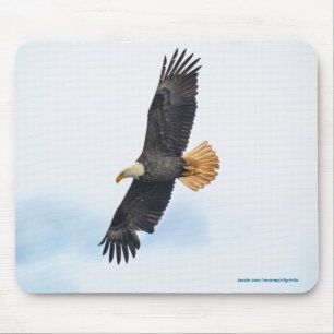 Alfombrilla De Ratón Arte fotográfico del águila calva salvaje