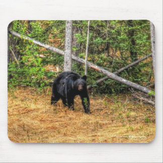 Alfombrilla De Ratón Arte fotográfico sobre el bosque salvaje del oso n