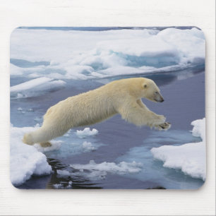 Alfombrilla De Ratón Ártico, Svalbard, Oso Polar extendiéndose