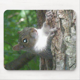 Alfombrilla De Ratón Artículos de la ardilla gris oriental (Sciurus car