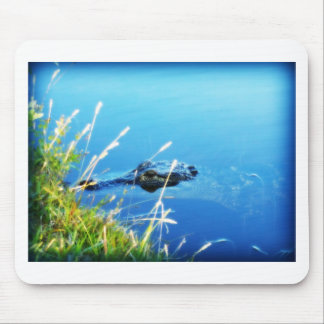 Alfombrilla De Ratón Artículos únicos del cocodrilo