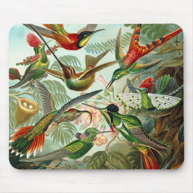 Alfombrilla De Ratón Artista de la época de Mousepad Ernst Haeckel Troc (Frente)