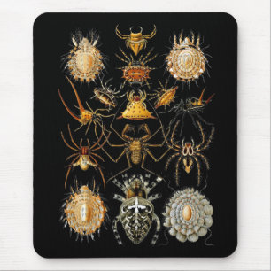 Alfombrilla de ratón artista vintage Ernst Haeckel