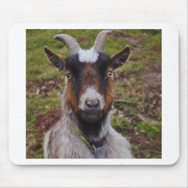 Alfombrilla De Ratón Ascendente cercano de la cabra