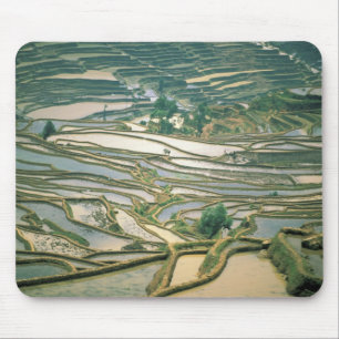 Alfombrilla De Ratón Asia, China. Terrazas de arroz inundadas cerca de