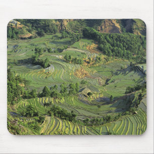 Alfombrilla De Ratón Asia, China, Yunnan, Yuanyang. Patrón de verde 2
