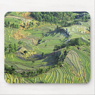 Alfombrilla De Ratón Asia, China, Yunnan, Yuanyang. Patrón verde