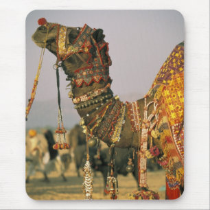 Alfombrilla De Ratón Asia, India, Pushkar. Camello Shamu, Pushkar