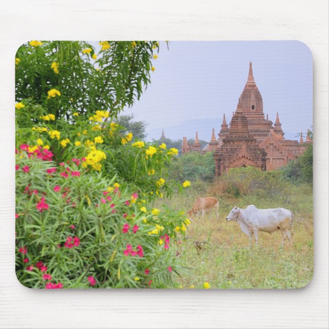 Alfombrilla De Ratón Asia, Myanmar (Birmania), Bagan (Pagan). Vacas (Frente)
