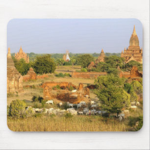 Alfombrilla De Ratón Asia, Myanmar (Birmania), Bagan (Pagan). Vacas pas