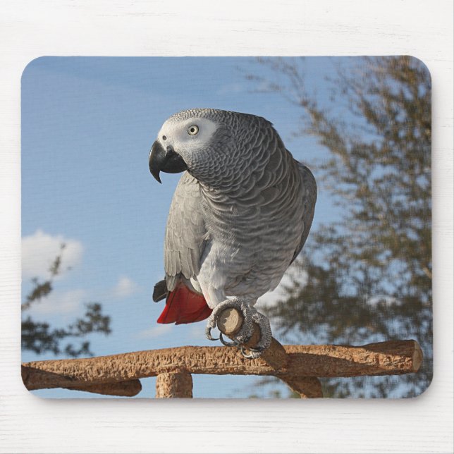 Alfombrilla De Ratón Asombroso loro gris africano (Frente)