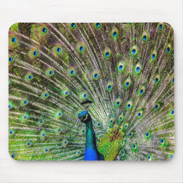 Alfombrilla De Ratón Asombroso Peacock y plumas accesorios de fotografí (Frente)