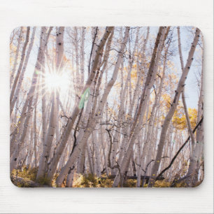 Alfombrilla De Ratón Aspen Trees