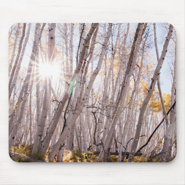 Alfombrilla De Ratón Aspen Trees (Frente)