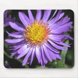 Alfombrilla De Ratón Aster Mousepad