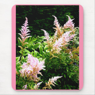 Alfombrilla De Ratón Astilbe
