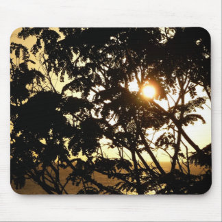 Alfombrilla De Ratón Atardecer a través de árboles en fotografía tropic