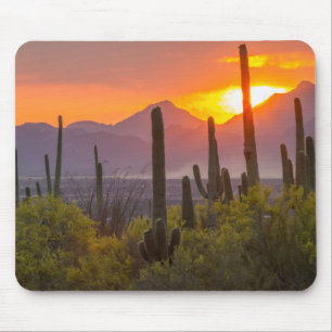 Alfombrilla De Ratón Atardecer de cactus del desierto, Arizona