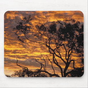 Alfombrilla De Ratón Atardecer, Parque Nacional Uluru-Kata Tjuta,