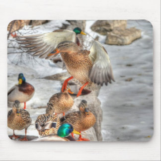 Alfombrilla De Ratón Aterrizaje de la mujer pato mallard amante vida si