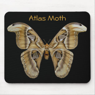 Alfombrilla De Ratón Atlas Moth Mousepad