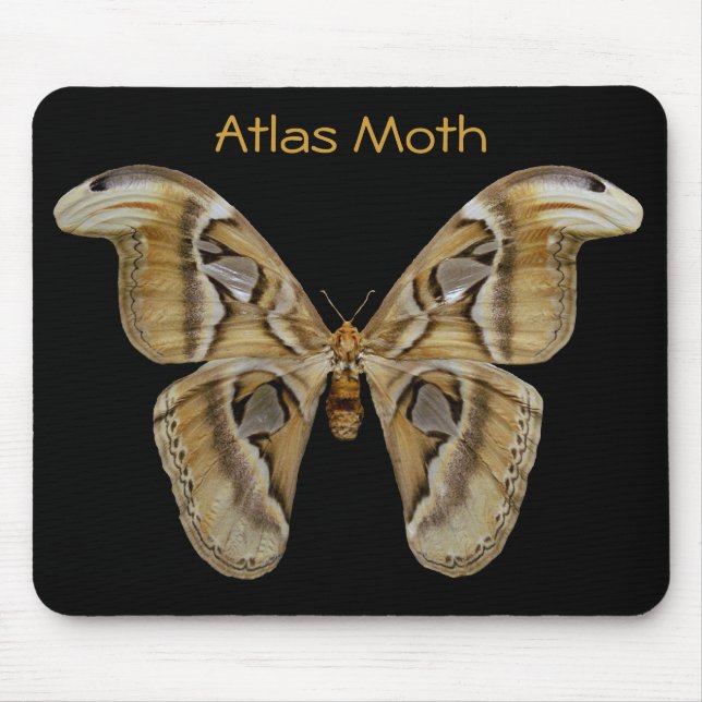 Alfombrilla De Ratón Atlas Moth Mousepad (Frente)