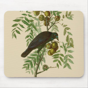 Alfombrilla De Ratón Audubon American Crow Black Bird