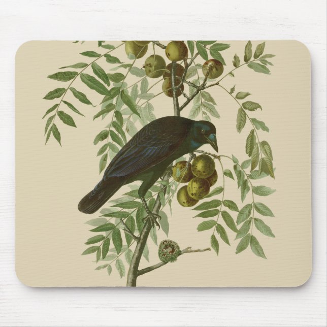 Alfombrilla De Ratón Audubon American Crow Black Bird (Frente)