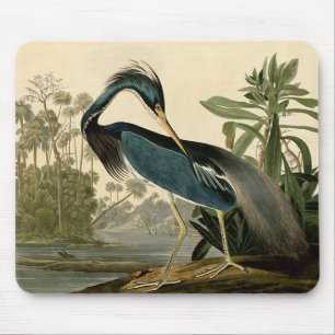 Alfombrilla De Ratón Audubon Louisiana Garza Aves América Arte