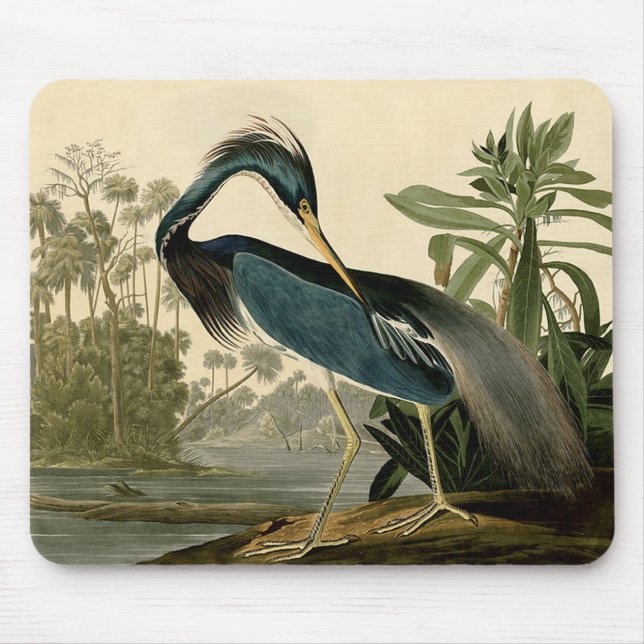 Alfombrilla De Ratón Audubon Louisiana Heron Birds America Art (Frente)