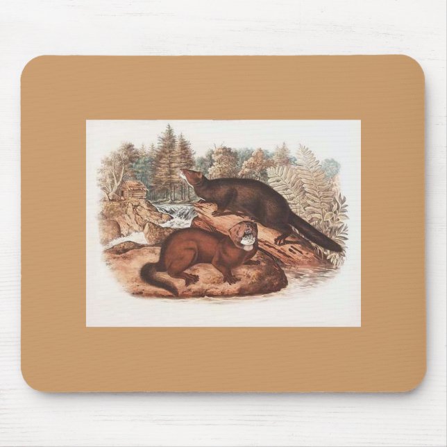 Alfombrilla De Ratón Audubon - Mink (Frente)