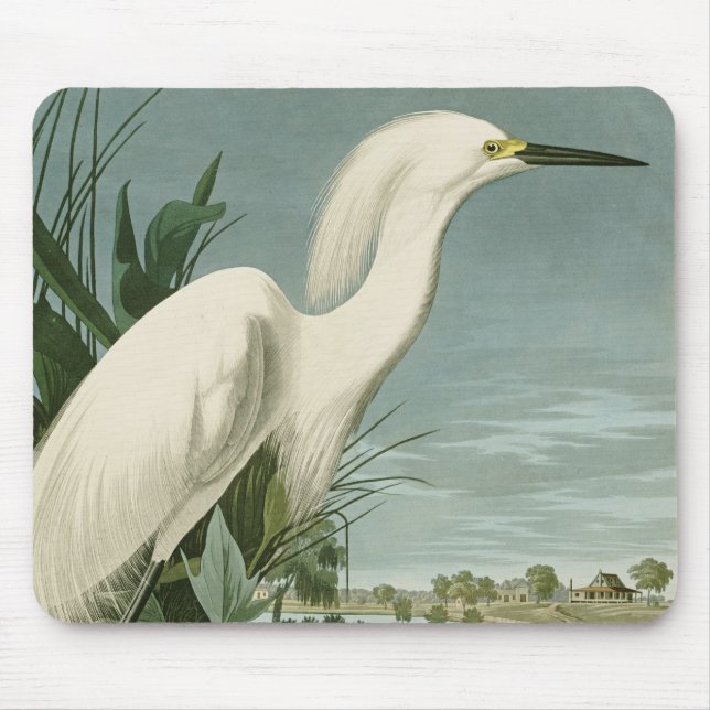 Alfombrilla De Ratón Audubon Snowy Heron White Egret Bird Birding (Frente)