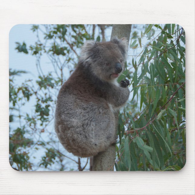 Alfombrilla De Ratón Australia: Isla canguro cuece Koala en un árbol (Frente)