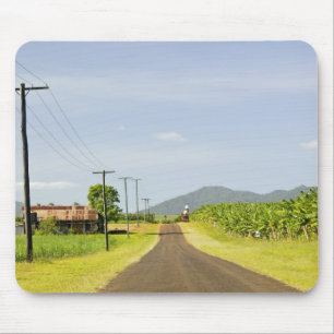 Alfombrilla De Ratón Australia, Queensland, Costa Norte, Babinda.