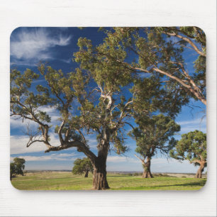 Alfombrilla De Ratón Australia, Valle de Barossa, Mount Pleasant