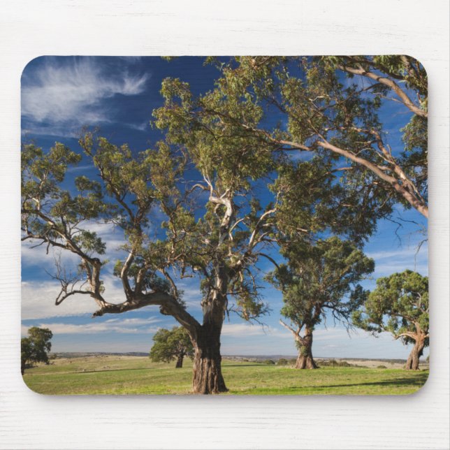 Alfombrilla De Ratón Australia, Valle de Barossa, Mount Pleasant (Frente)
