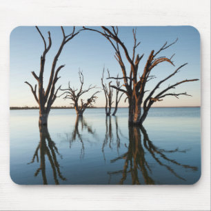Alfombrilla De Ratón Australia, valle del río Murray, Barmera, lago