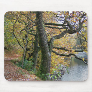 ALFOMBRILLA DE RATÓN AUTUMN